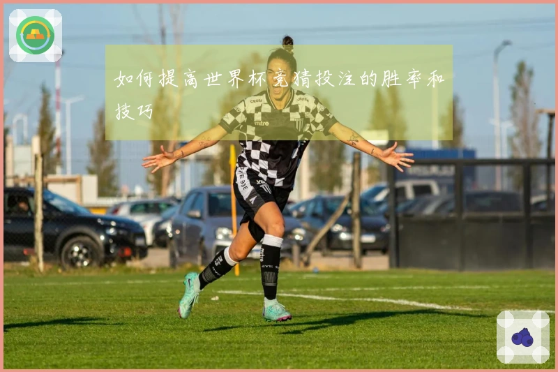 如何提高世界杯竞猜投注的胜率和技巧