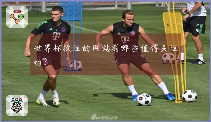 世界杯投注的网站有哪些值得关注的？