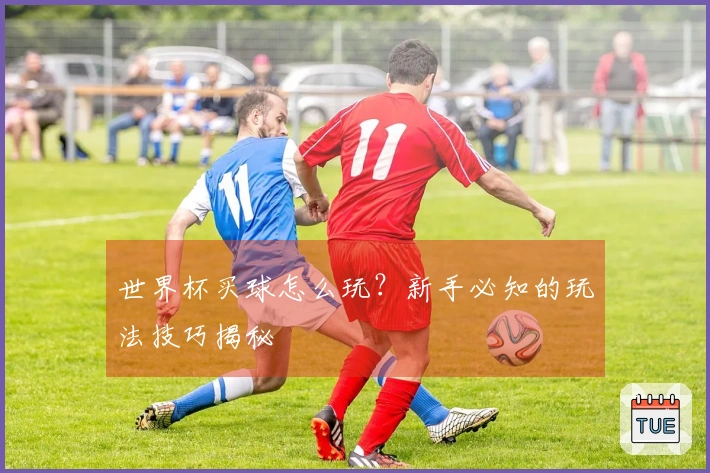 世界杯买球怎么玩？新手必知的玩法技巧揭秘