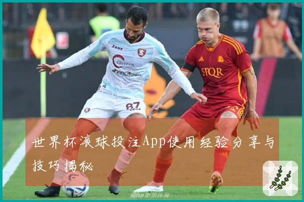 世界杯滚球投注App使用经验分享与技巧揭秘