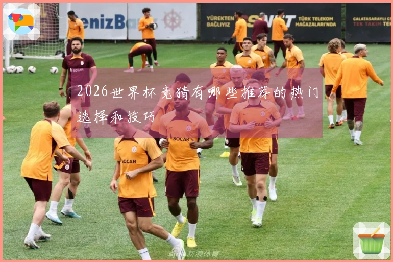 2026世界杯竞猜有哪些推荐的热门选择和技巧