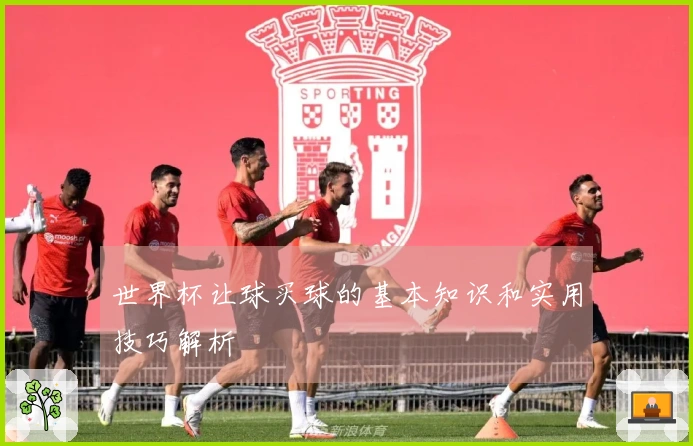 世界杯让球买球的基本知识和实用技巧解析
