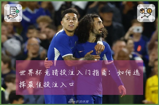 世界杯竞猜投注入门指南：如何选择最佳投注入口