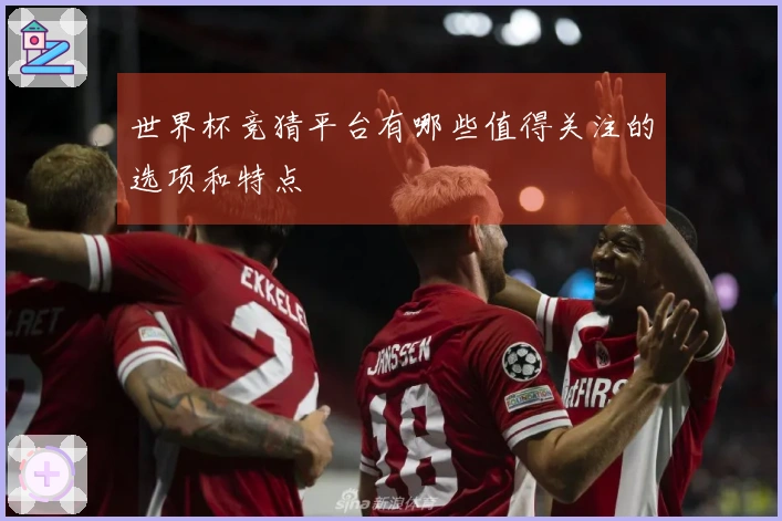 世界杯竞猜平台有哪些值得关注的选项和特点