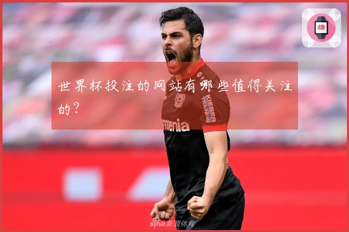世界杯投注的网站有哪些值得关注的？