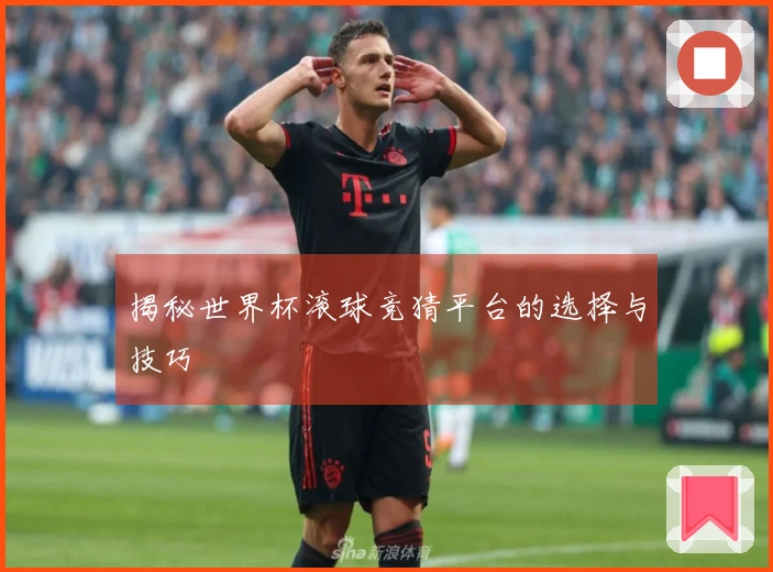 揭秘世界杯滚球竞猜平台的选择与技巧