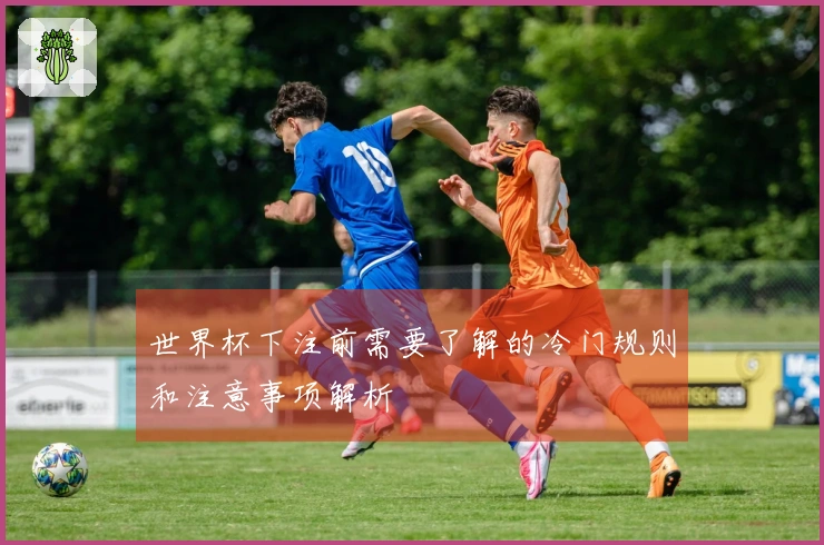 世界杯下注前需要了解的冷门规则和注意事项解析