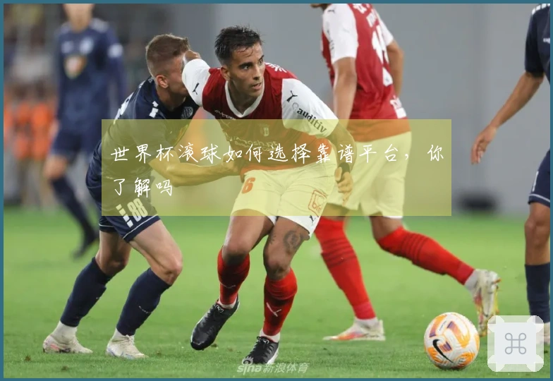 世界杯滚球如何选择靠谱平台，你了解吗