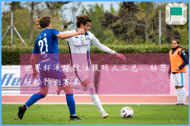 世界杯滚球投注技巧大汇总，助您轻松预测赛果