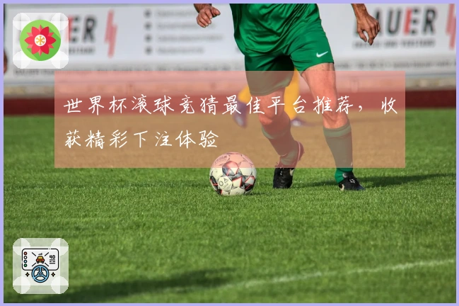 世界杯滚球竞猜最佳平台推荐，收获精彩下注体验