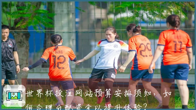 世界杯投注网站预算安排须知，如何合理分配资金以提升体验？