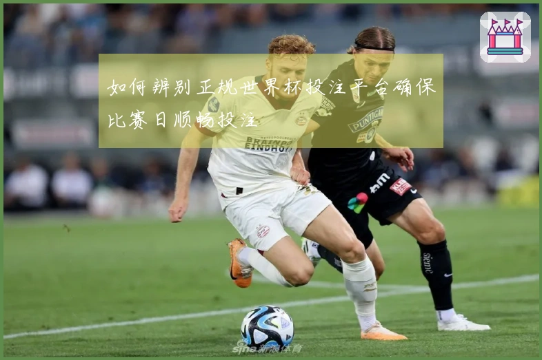 如何辨别正规世界杯投注平台确保比赛日顺畅投注