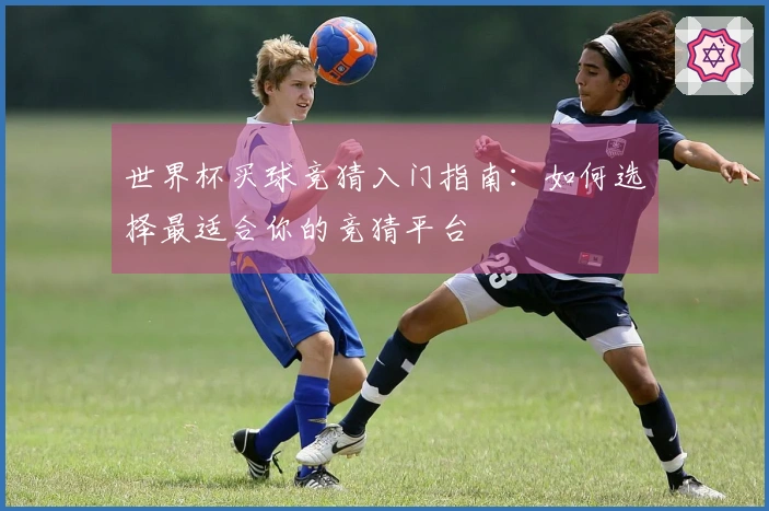 世界杯买球竞猜入门指南：如何选择最适合你的竞猜平台