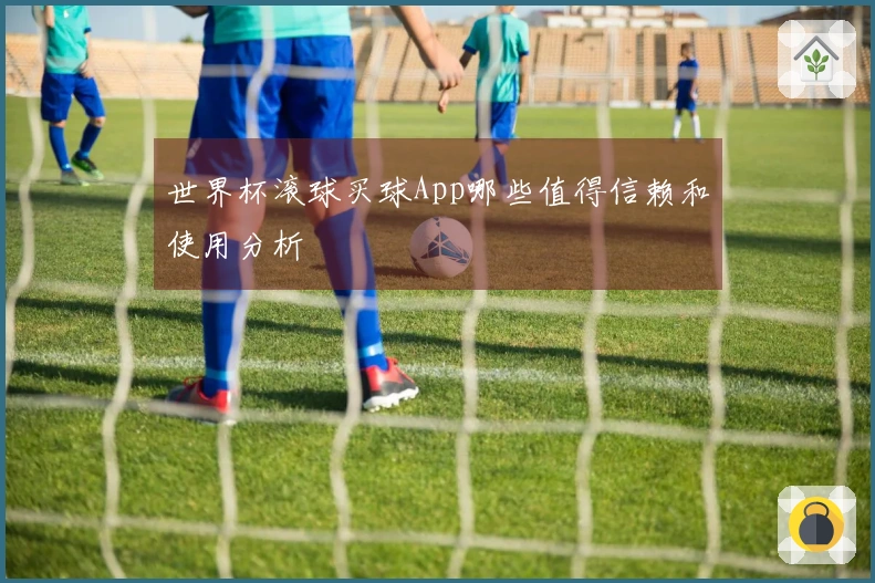 世界杯滚球买球App哪些值得信赖和使用分析
