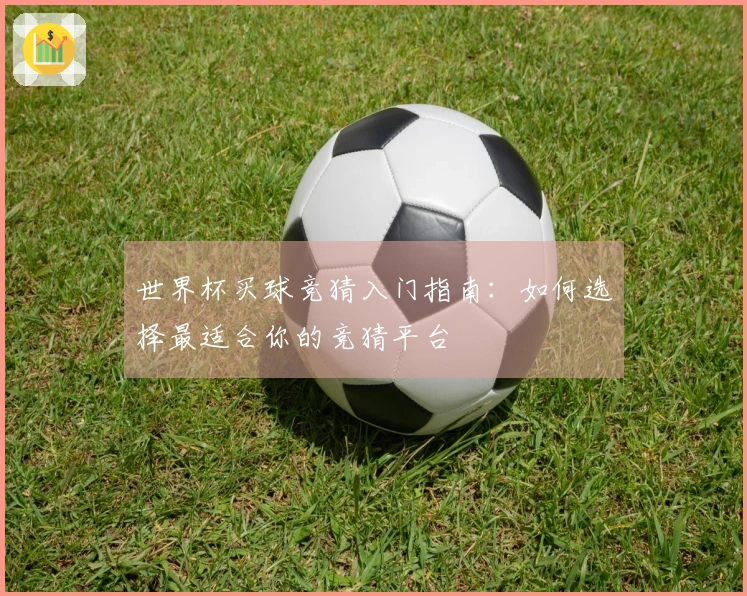 世界杯买球竞猜入门指南：如何选择最适合你的竞猜平台