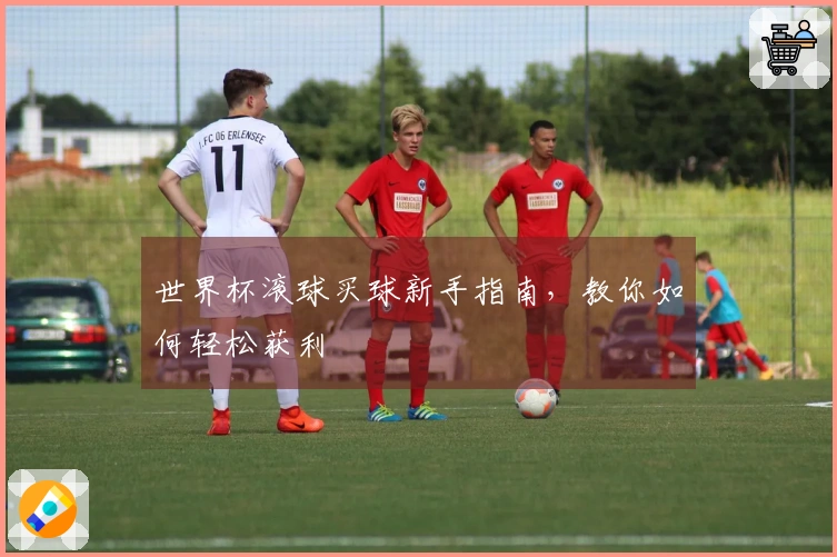 世界杯滚球买球新手指南，教你如何轻松获利