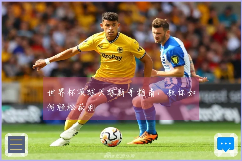 世界杯滚球买球新手指南，教你如何轻松获利