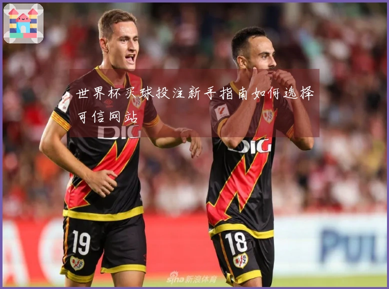 世界杯买球投注新手指南如何选择可信网站