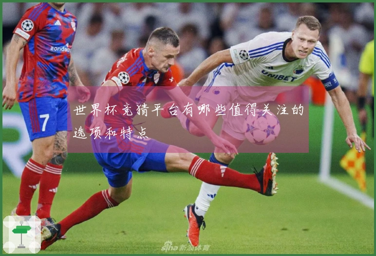 世界杯竞猜平台有哪些值得关注的选项和特点